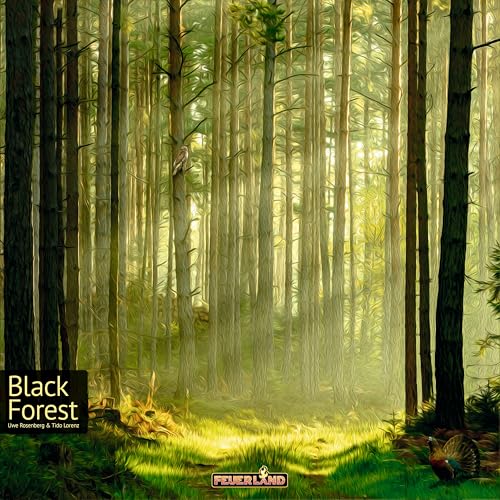 feuerland-black-forest-expertenspiel-brettspiel-1-4-personen image 7